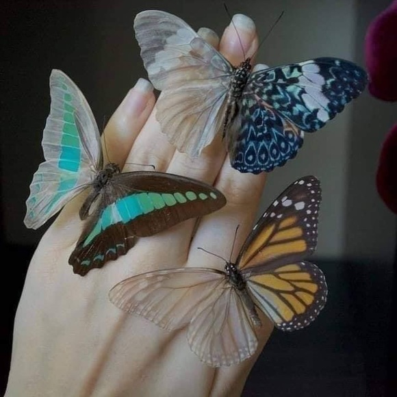 Opal Ring 70s Design 9ct Gold Thick Band - Picture 7 of 12